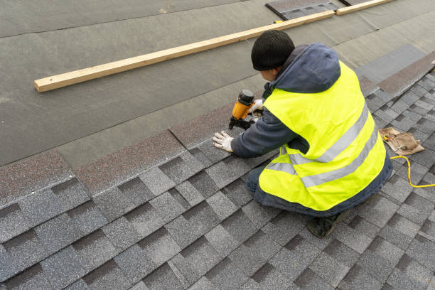 Best Roof Gutter Cleaning  in Tlassee, AL